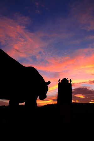 chiang mai night safariの写真素材