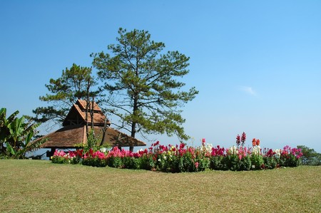 gardenの写真素材