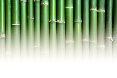 texture of bamboo の写真素材