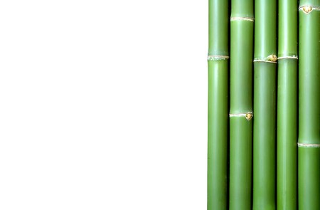 texture of bamboo の写真素材