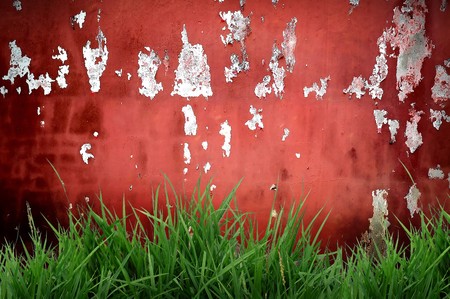 old wall with grassの写真素材