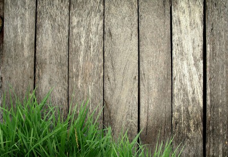 wooden fence with green grassの写真素材