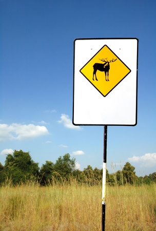 deer caution signの写真素材