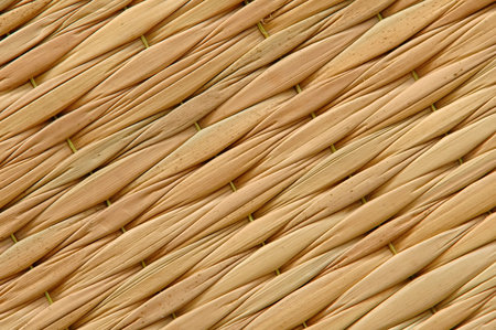 texture of reed mat