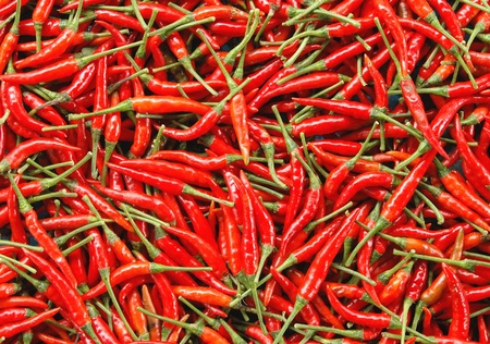 chiliの写真素材