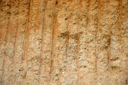 soil sectinの写真素材