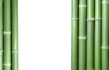 bambooの写真素材