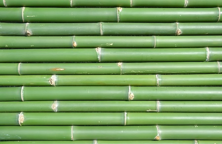 bambooの写真素材