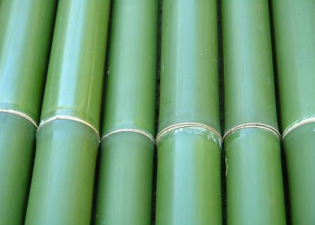 bambooの写真素材