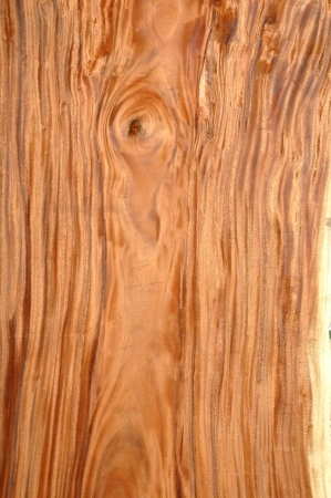 texture of woodの写真素材