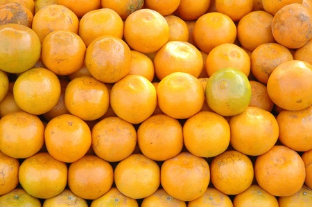 orangeの写真素材
