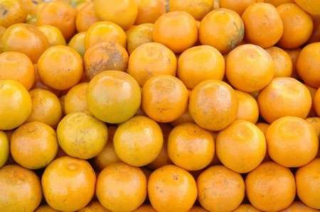 orangeの写真素材