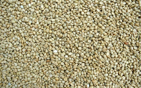 coffee beans backgroundの写真素材