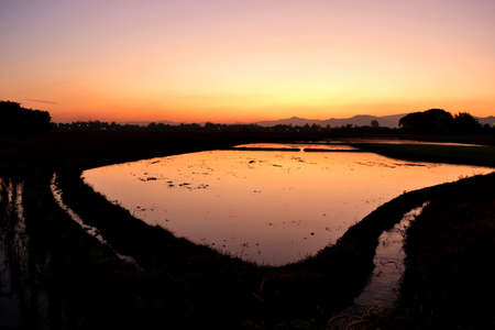 Cultivated land in a rural landscape at sunset の写真素材