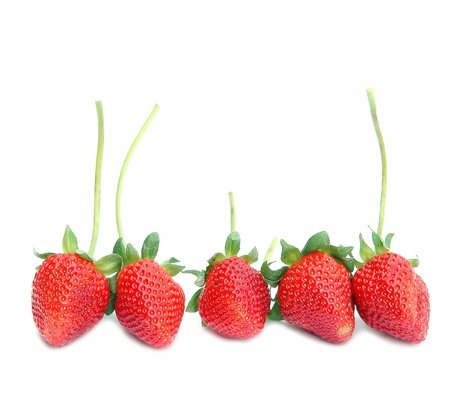 fresh strawberry and white backgroundの写真素材