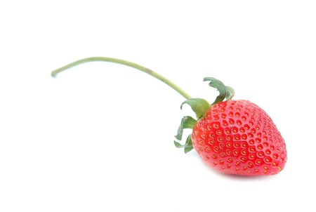 fresh strawberry and white backgroundの写真素材