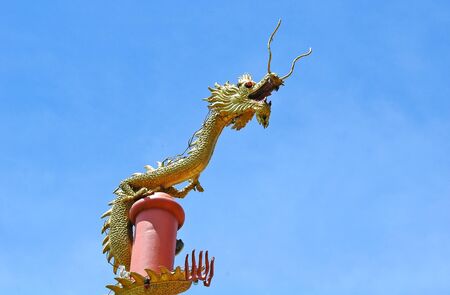 dragon and blue skyの写真素材