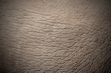 texture of elephant skin use for backgroundの写真素材