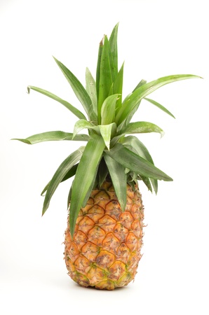pineapple isolated on white backgroundの写真素材