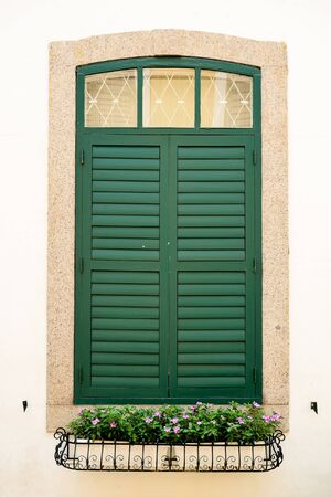wooden green window with flowerの写真素材