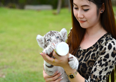 pretty women feeding baby white bengal tigerの写真素材