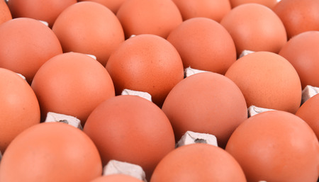 group of eggs in paper trayの写真素材