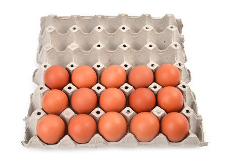 eggs in paper tray on white backgroundの写真素材