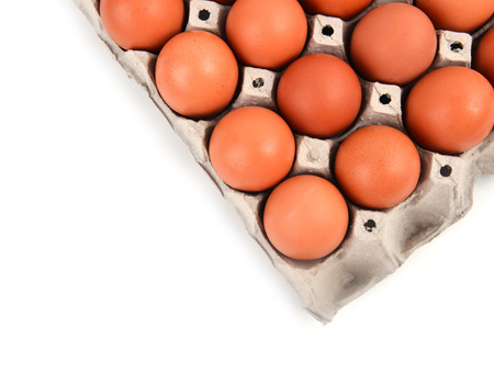 eggs in paper tray on white backgroundの写真素材
