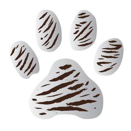 white tiger footprint vector on white backgroundのイラスト素材