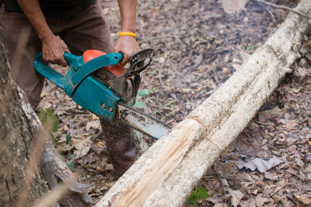 man cutting the log of wood with chainsawの写真素材