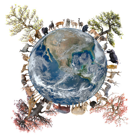 animal stand around the world isolated on white background,Element of this image are furnished by NASAの写真素材