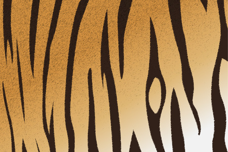 Vector illustration of bengal tiger stripe patternのイラスト素材