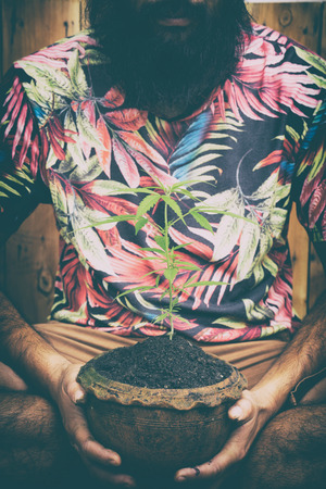 happy man with cannabis plant in a potの写真素材