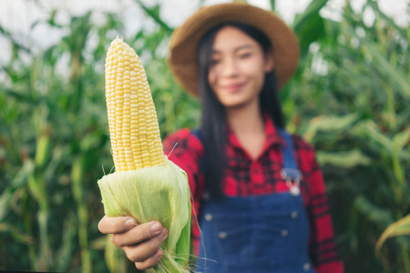 Happy farmer posing in the corn field