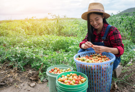 Smiling farmer posing in the tomato field