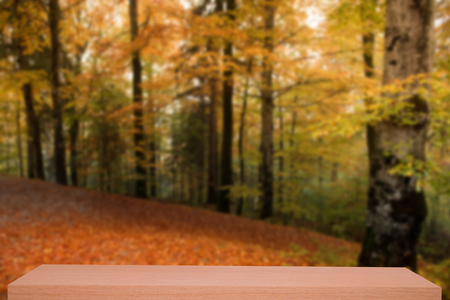 colorful autumn forest defocus background with wooden shelfの写真素材