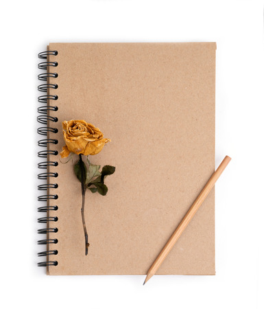 dried rose flower with pencil on notebook pageの写真素材