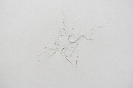 pubic hair fall on bedroom floorの写真素材