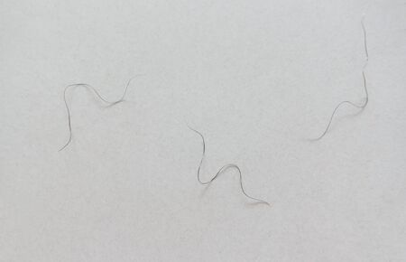 pubic hair fall on bedroom floorの写真素材