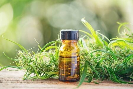 cannabis with cannabidiol (cbd) extract in a bottleの写真素材