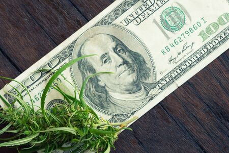 fresh marijuana flower on hundred dollar banknoteの写真素材