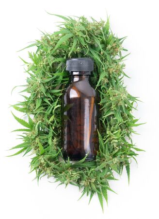 cannabis with cannabidiol (cbd) extract isolated on white backgroundの写真素材