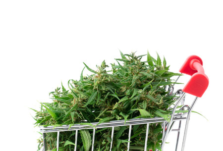 fresh marijuana flower in shopping cart isolated on white backgroundの写真素材
