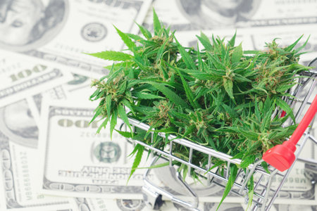 fresh marijuana flower on hundred dollar banknoteの写真素材