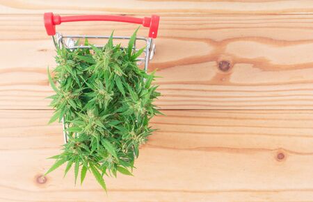 fresh marijuana flower in shopping cart on tableの写真素材