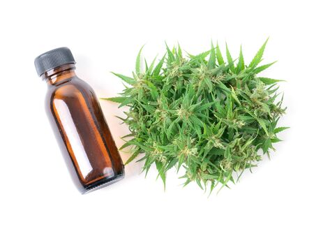 cannabis with cannabidiol (cbd) extract isolated on white backgroundの写真素材