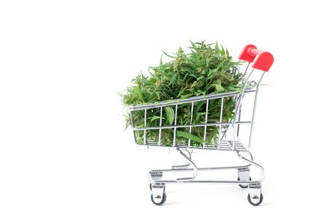 fresh marijuana flower in shopping cart isolated on white backgroundの写真素材