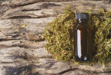 dried cannabis medical marijuana with CBD and THC extractの写真素材