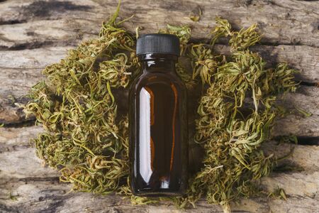dried cannabis medical marijuana with CBD and THC extractの写真素材