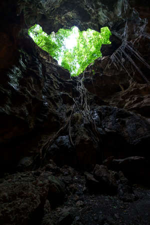 View from the cave hole looking out tree and skyの写真素材